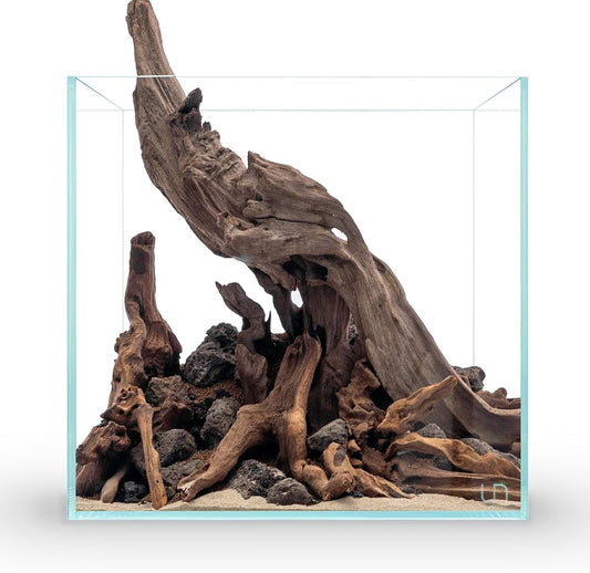 Driftwood Stumps - Extra Small (2–4 Inches)